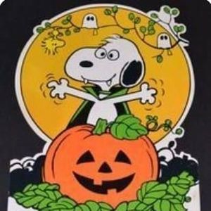 Meet your Posher, Suzanne